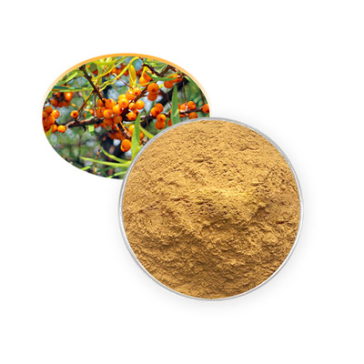 沙棘黃酮（苷元型）