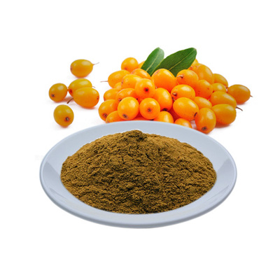 沙棘果渣粉