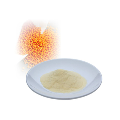 沙棘籽油微囊粉